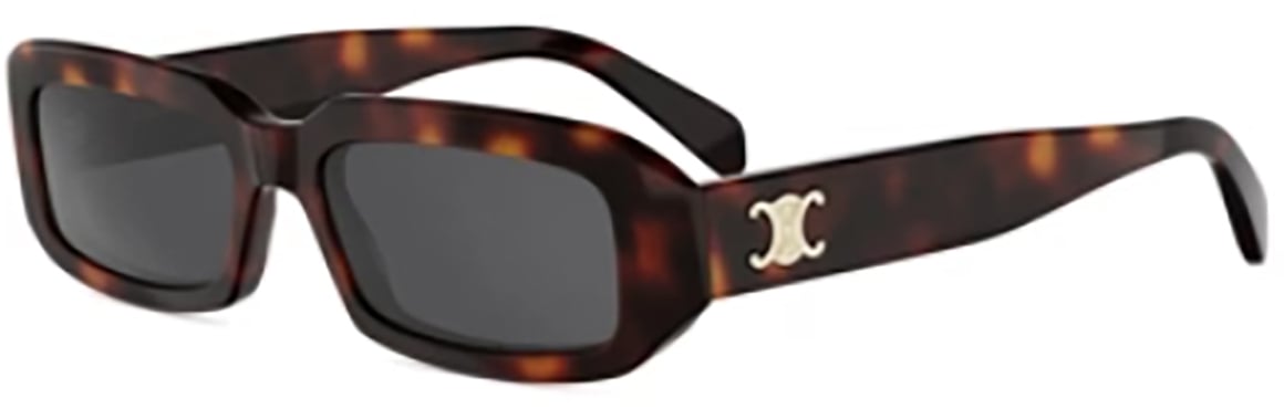 Celine Celine CL40335I Bruin