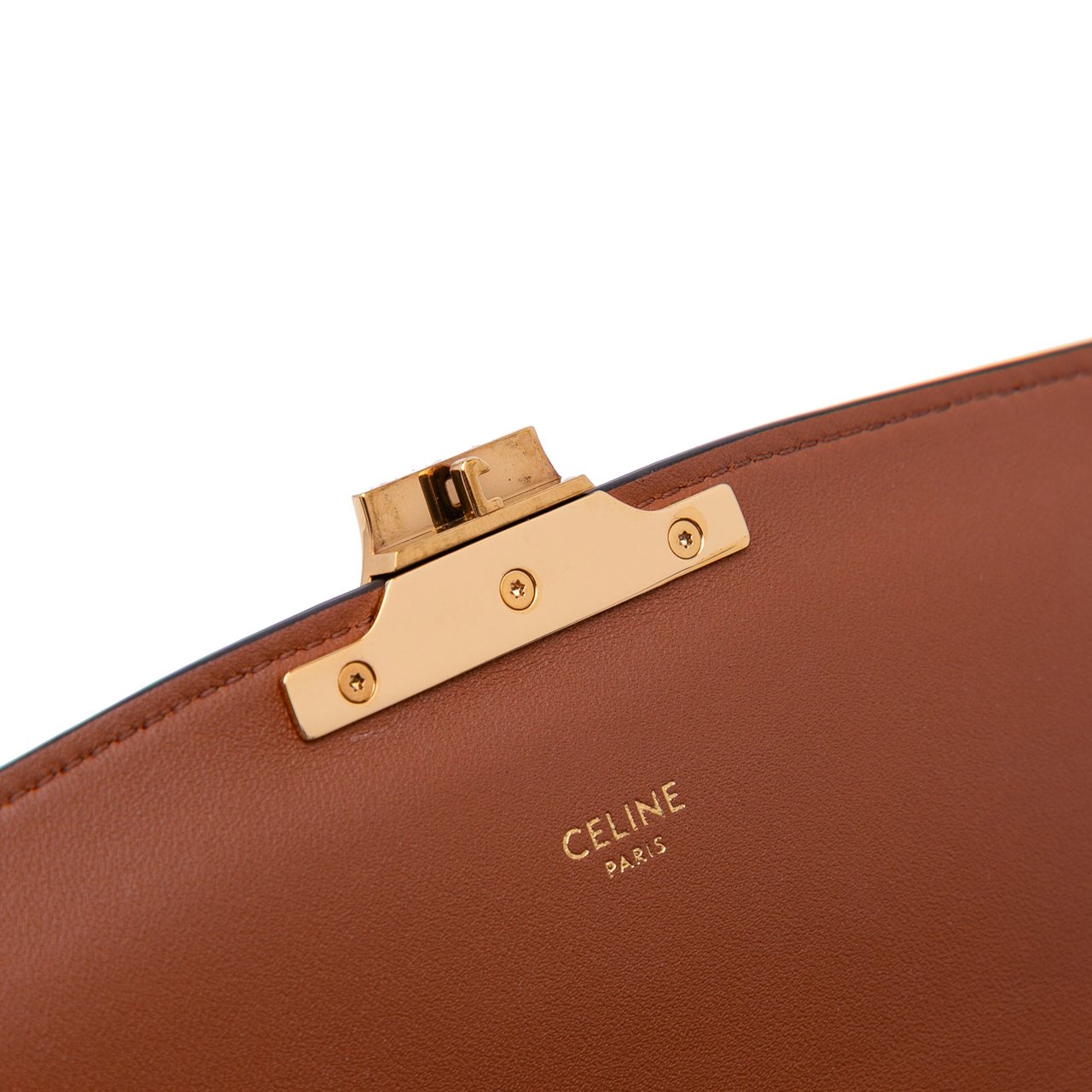Celine Classique Triomphe Coated Canvas and Calfskin Triomphe Crossbody Bruin