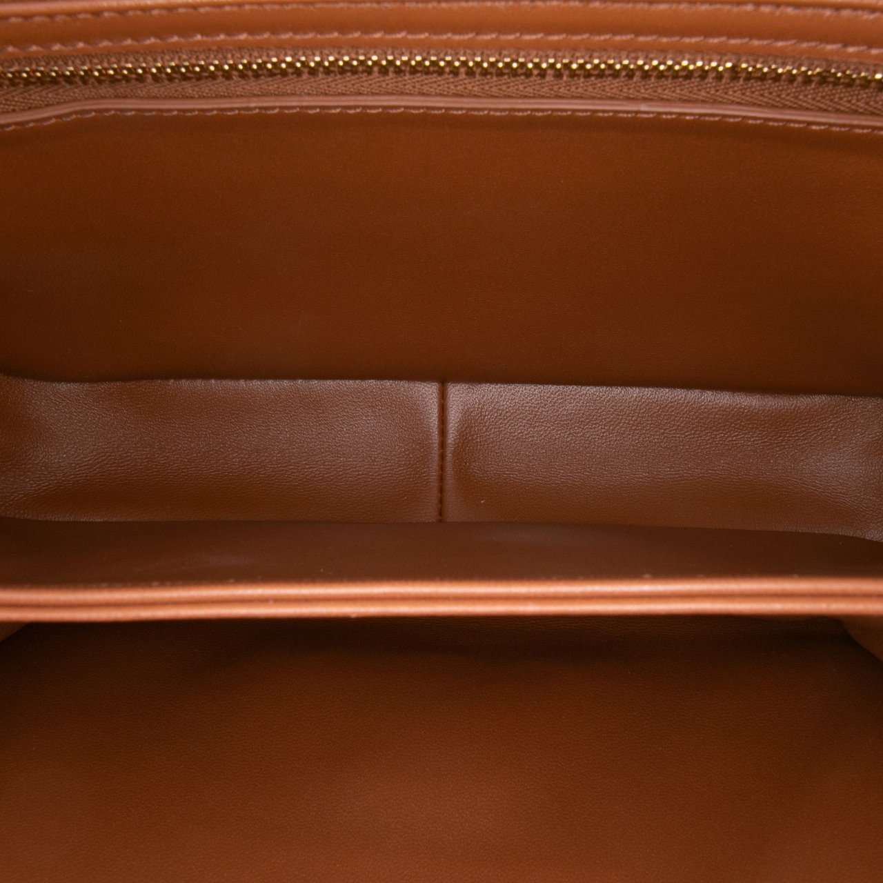 Celine Classique Triomphe Coated Canvas and Calfskin Triomphe Crossbody Bruin