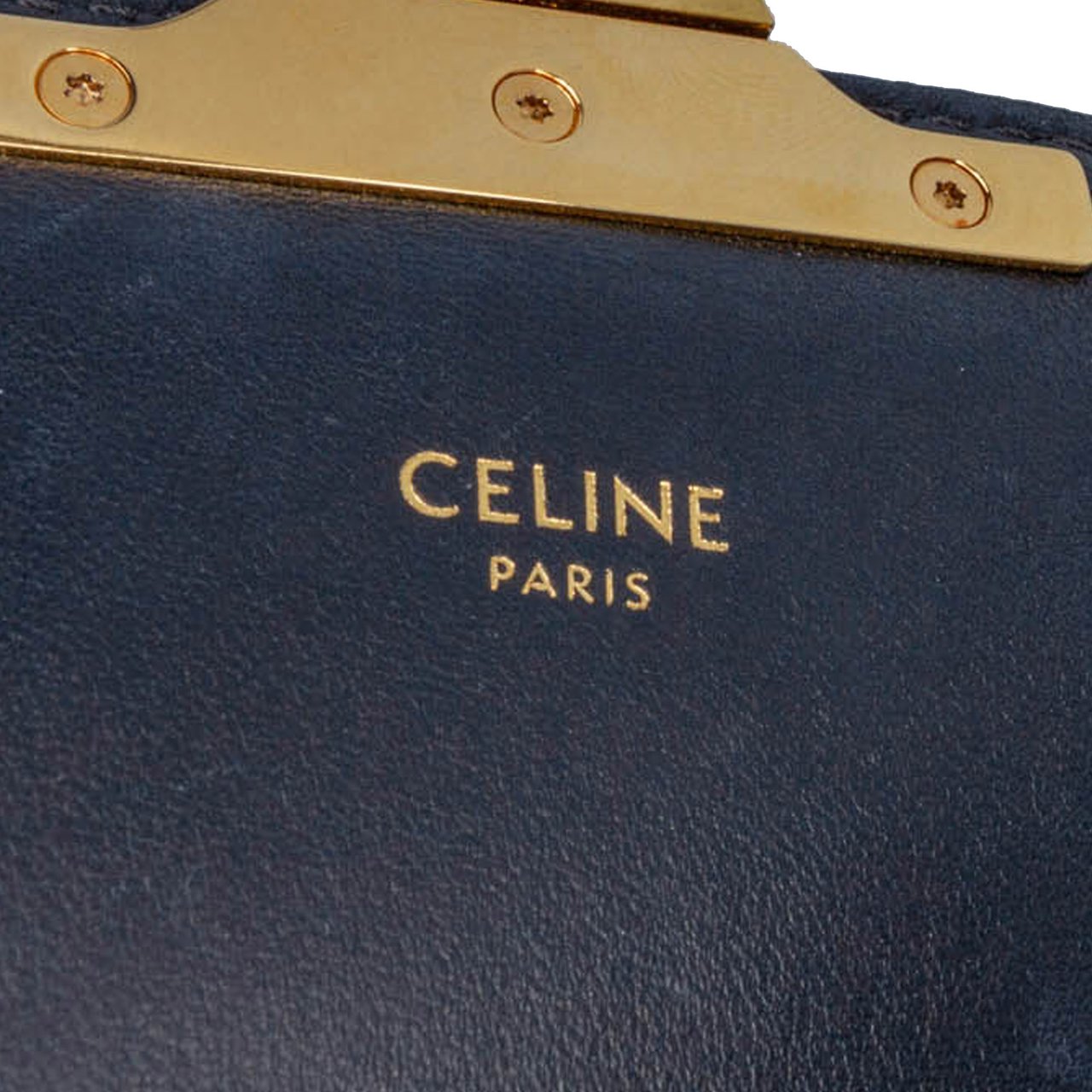 Celine Teen Embroidered Canvas and Calfskin Triomphe Crossbody Bruin