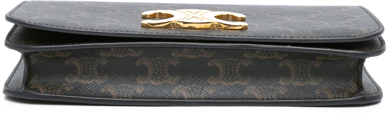 Celine Triomphe Coated Canvas Triomphe Multi Pochette Satchel Bruin