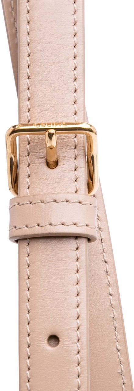 Celine Teen Shiny Calfskin Triomphe Crossbody Bruin