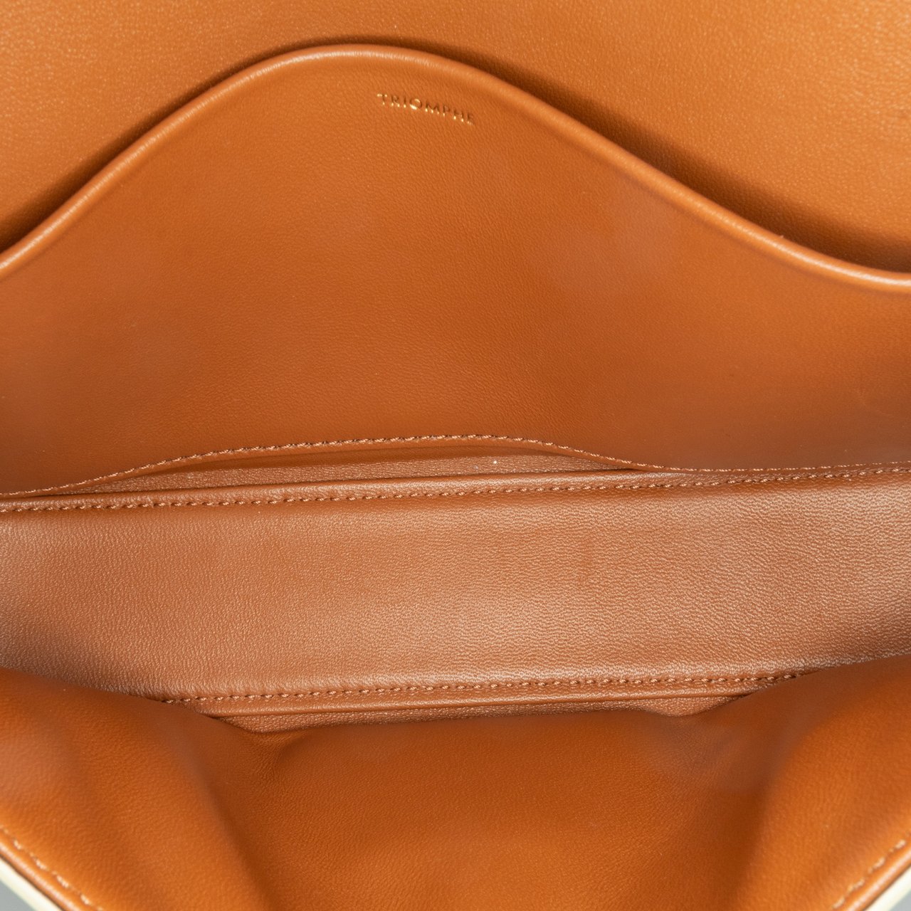 Celine Triomphe Coated Canvas Claude Shoulder Bag Wit