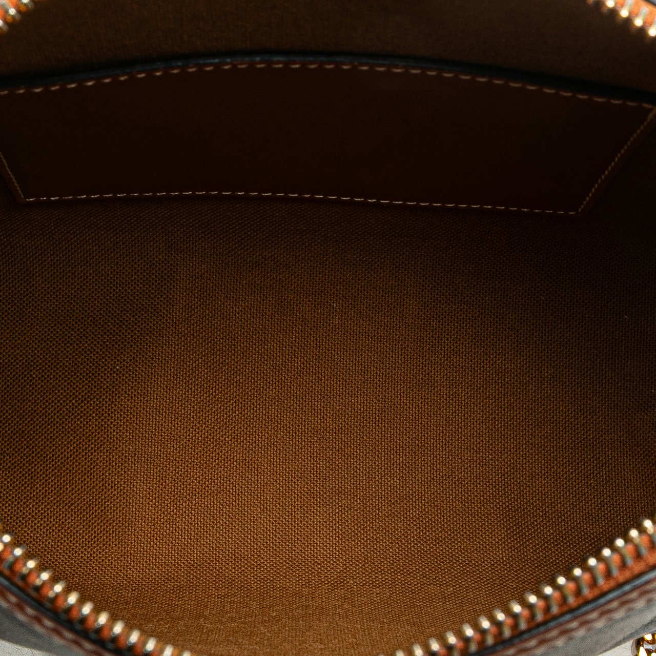 Celine Triomphe Coated Canvas Clutch On Chain Bruin