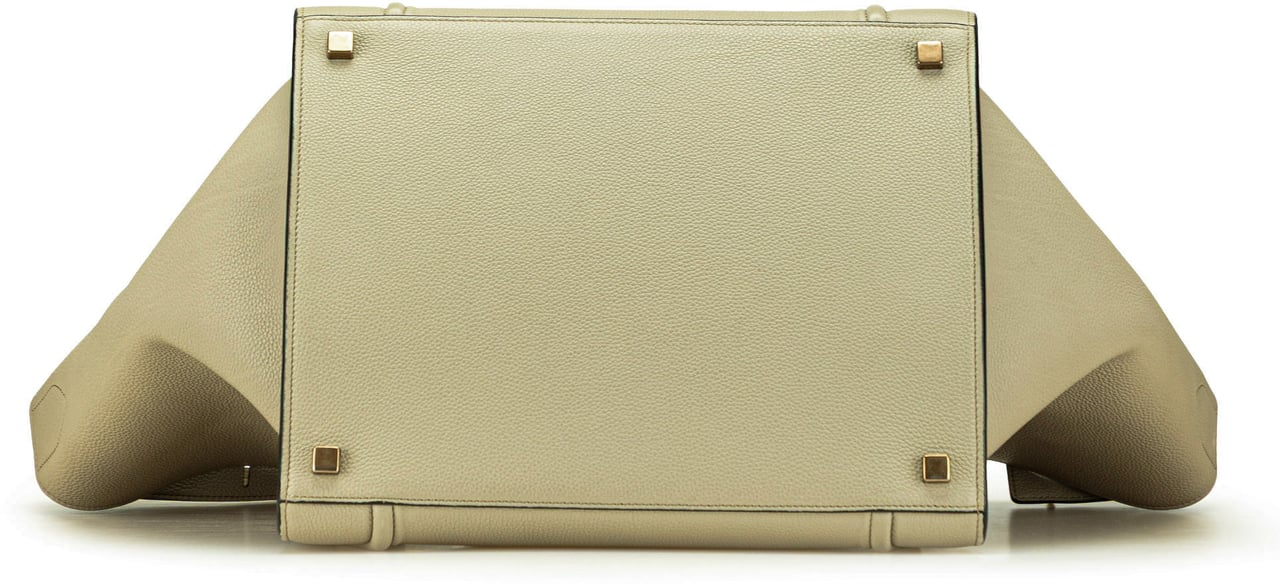 Celine Medium Leather Luggage Phantom Tote Bruin