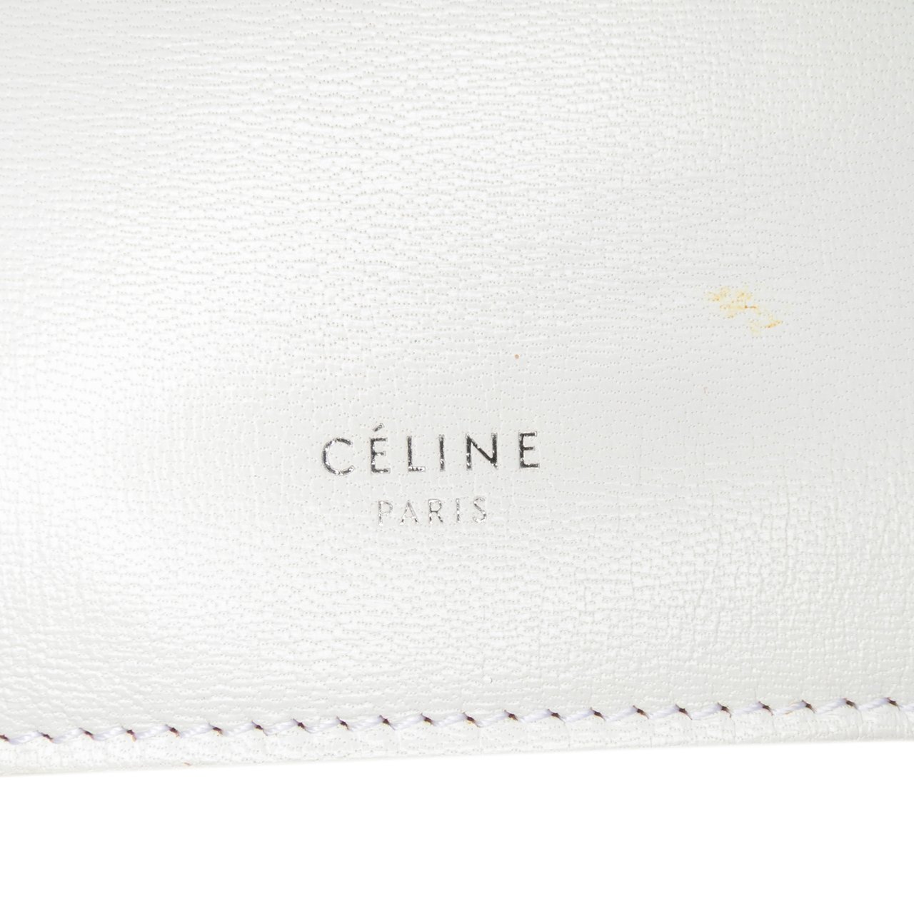 Celine Mini Leather Clasp Crossbody Wit
