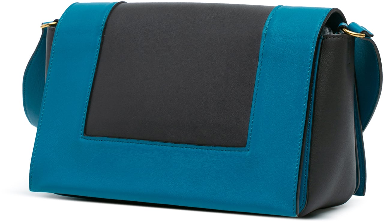 Celine Leather Frame Shoulder Bag Zwart