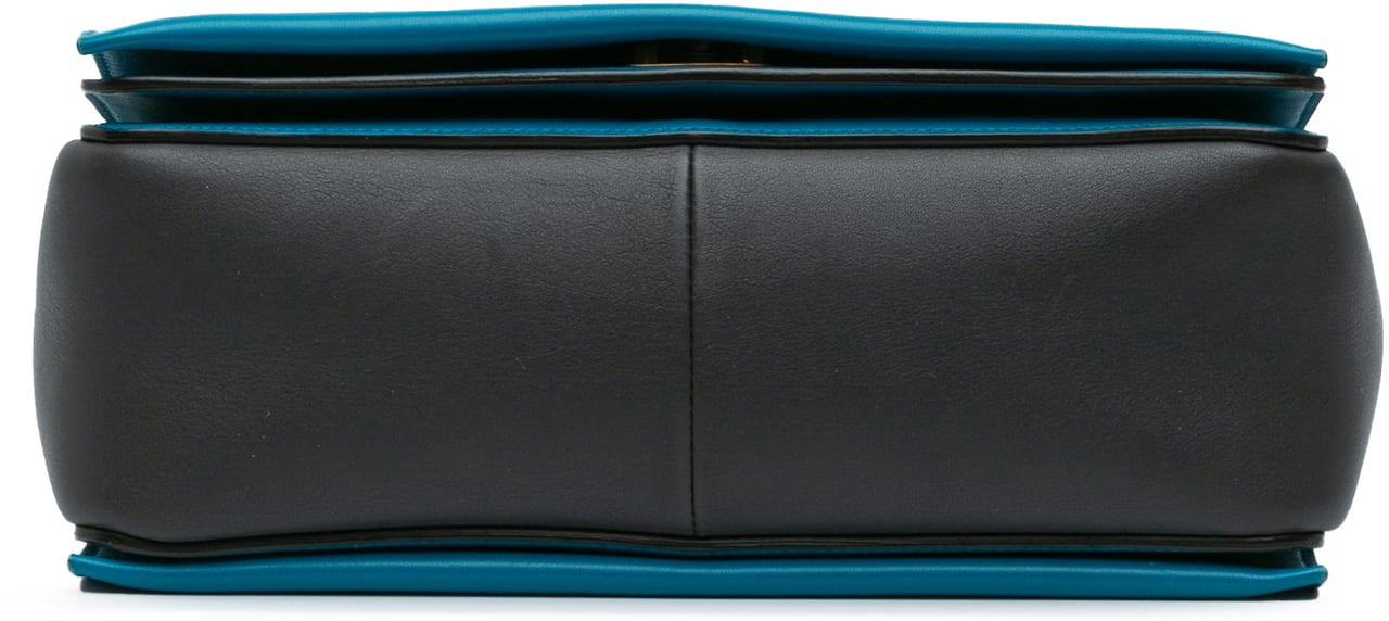 Celine Leather Frame Shoulder Bag Zwart