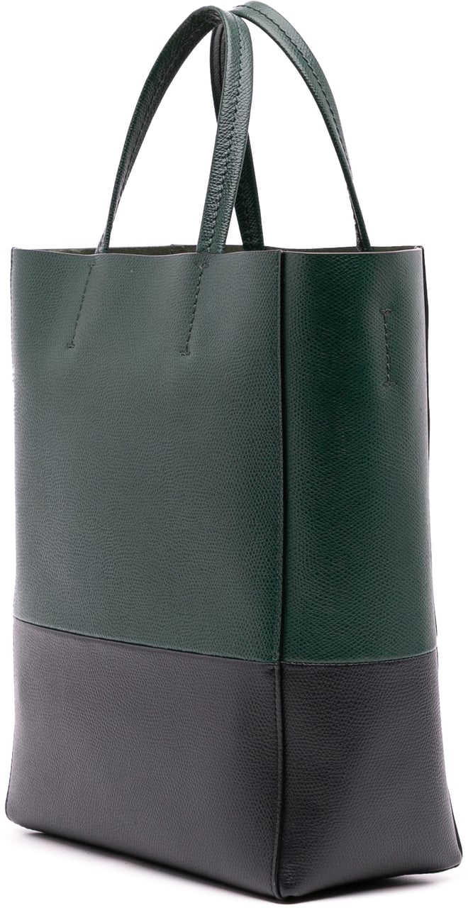 Celine Small Bicolor Grained Calfskin Vertical Cabas Tote Groen