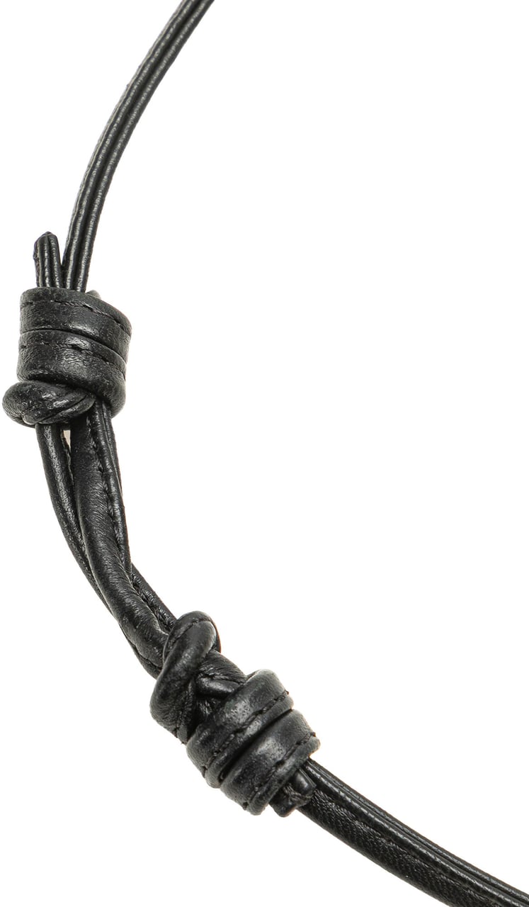 Celine Triomphe Coated Canvas Phone Pouch Flap Crossbody Bruin