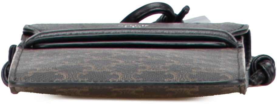 Celine Triomphe Coated Canvas Phone Pouch Flap Crossbody Bruin