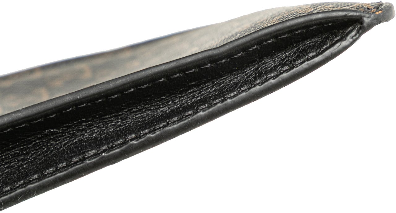 Celine Triomphe Coated Canvas Phone Pouch Flap Crossbody Bruin