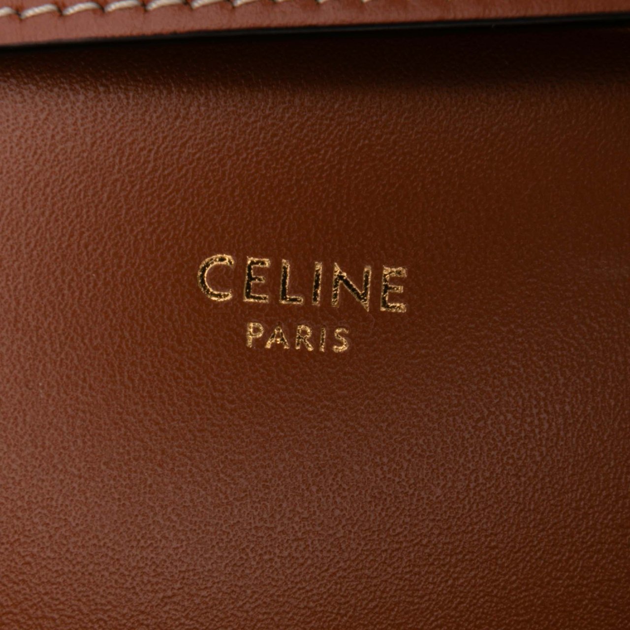 Celine Classique Triomphe Coated Canvas and Calfskin Triomphe Crossbody Bruin