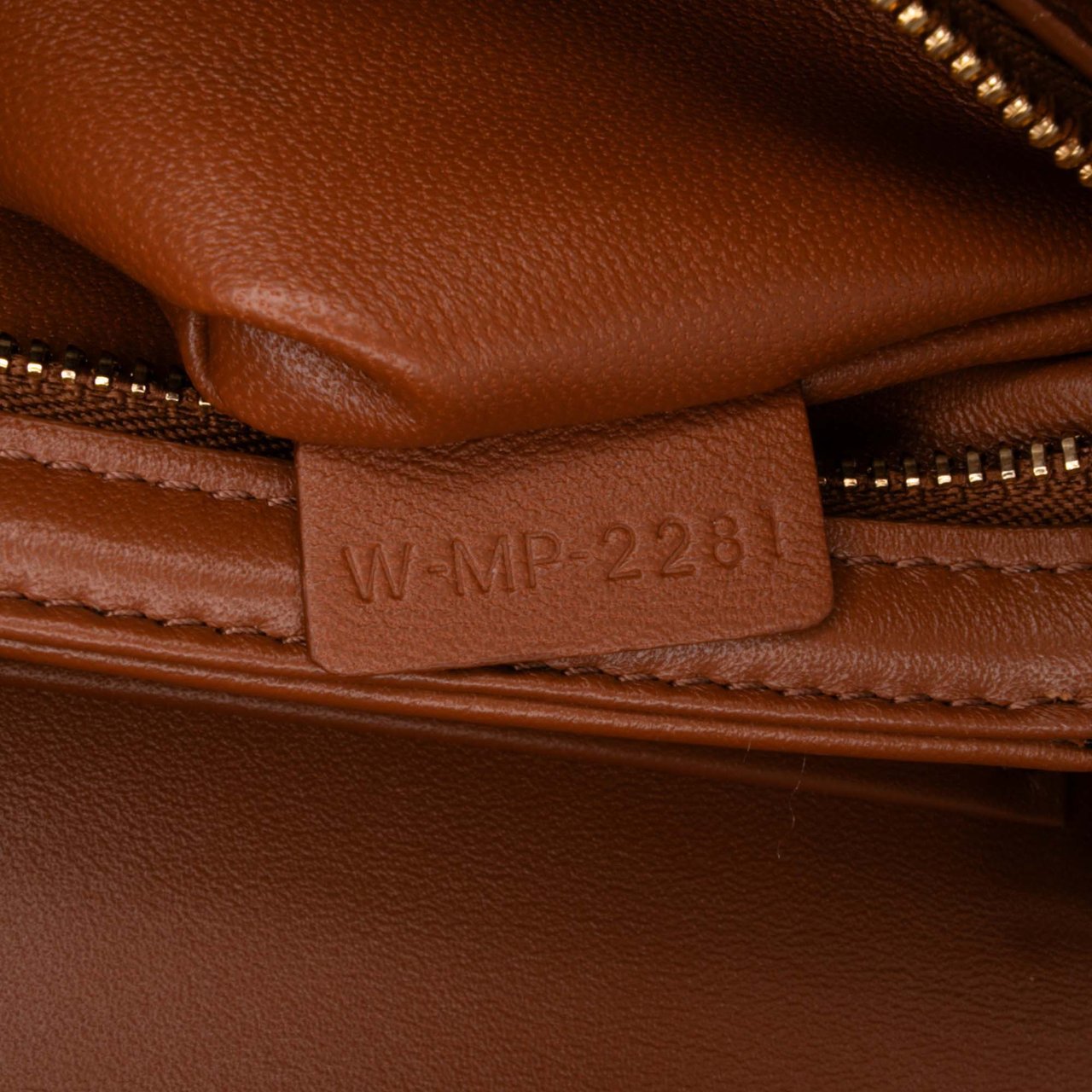 Celine Classique Triomphe Coated Canvas and Calfskin Triomphe Crossbody Bruin