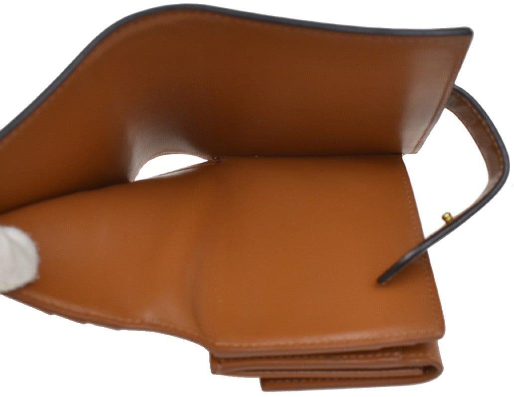 Celine Celine Strap wallet Triomphe coated canvas Bruin