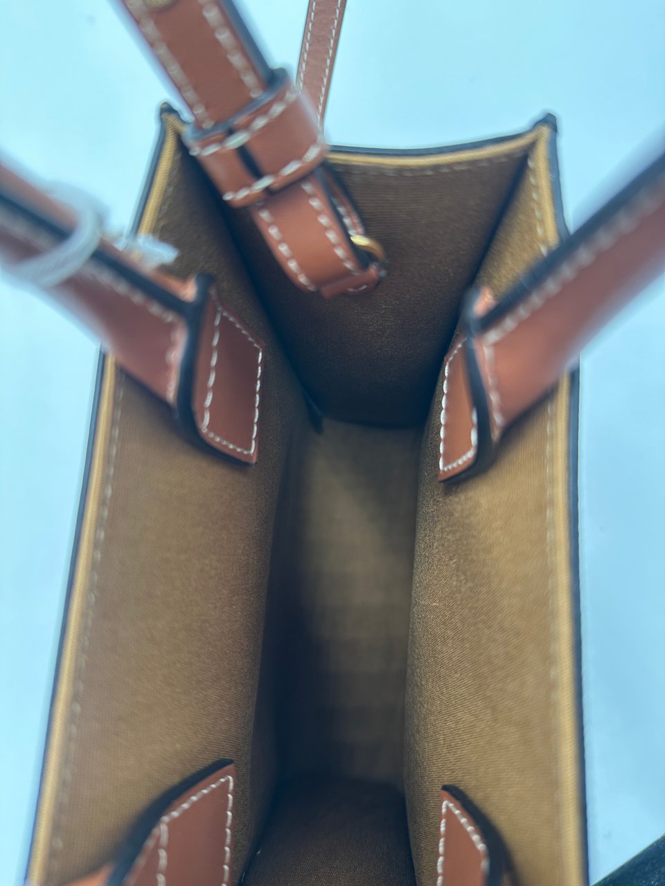 Celine Celine Sulky Vertical Cabas Tote Canvas with Leather Mini Bruin