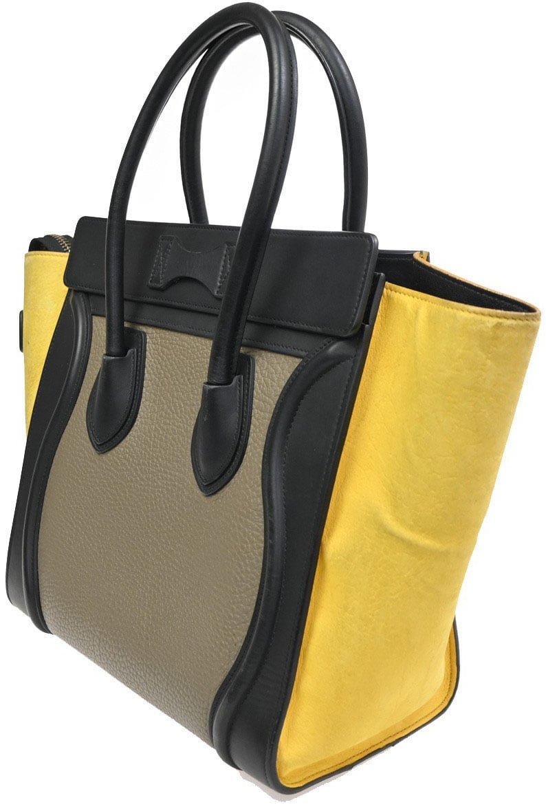 Celine Celine Tricolor Luggage Bag Leather Micro Divers