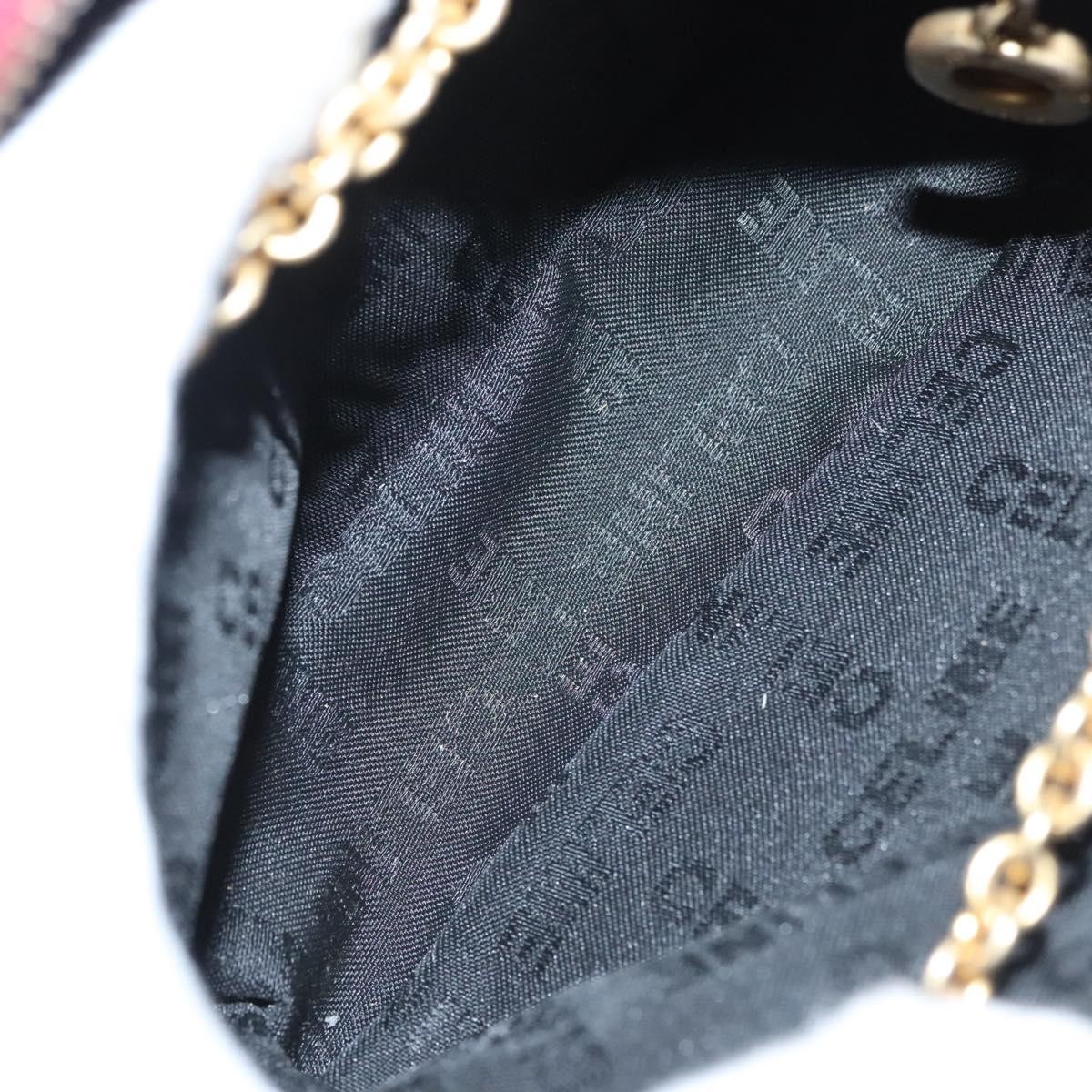 Celine Celine Zip Around Chain Shoulder Bag Leather Rood