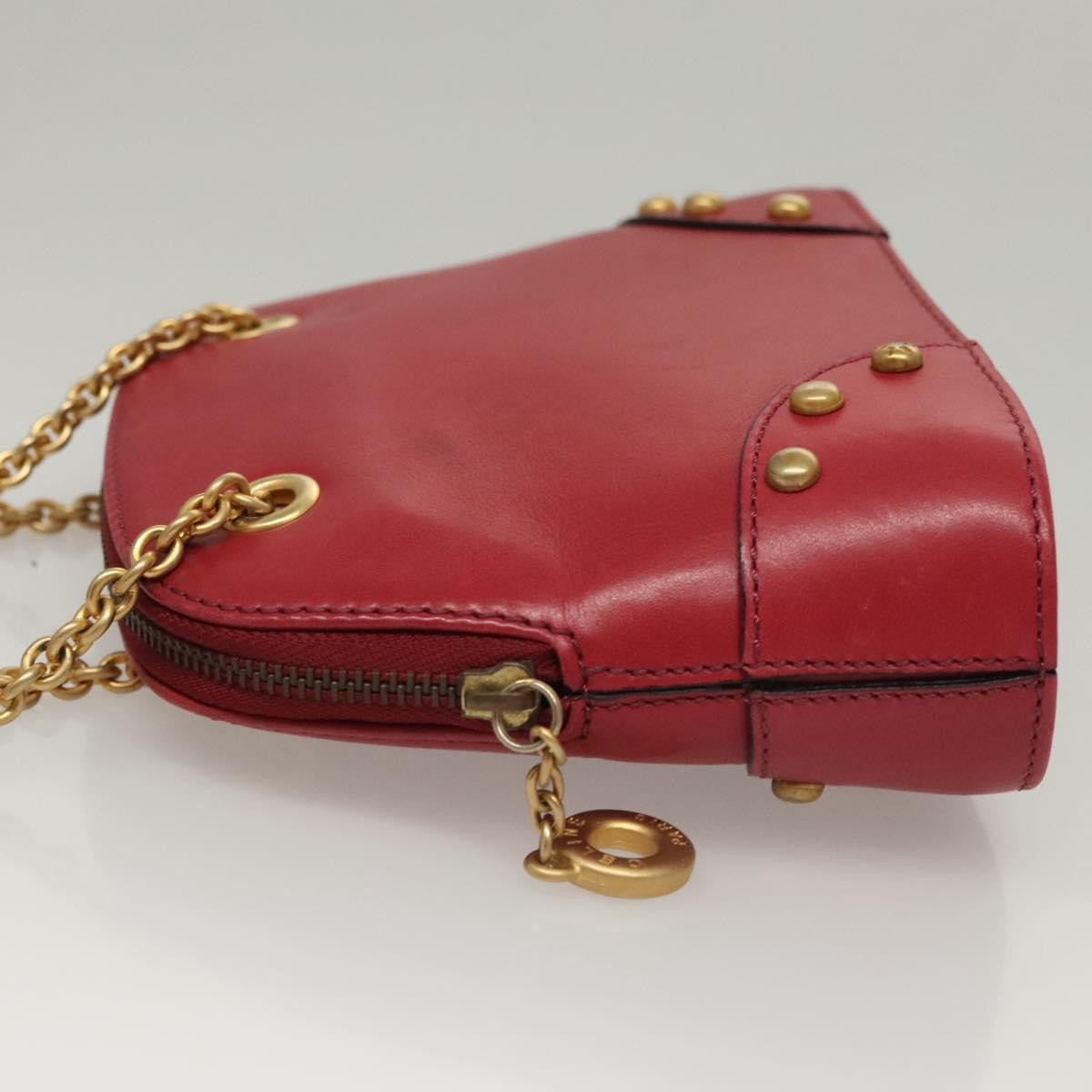 Celine Celine Zip Around Chain Shoulder Bag Leather Rood