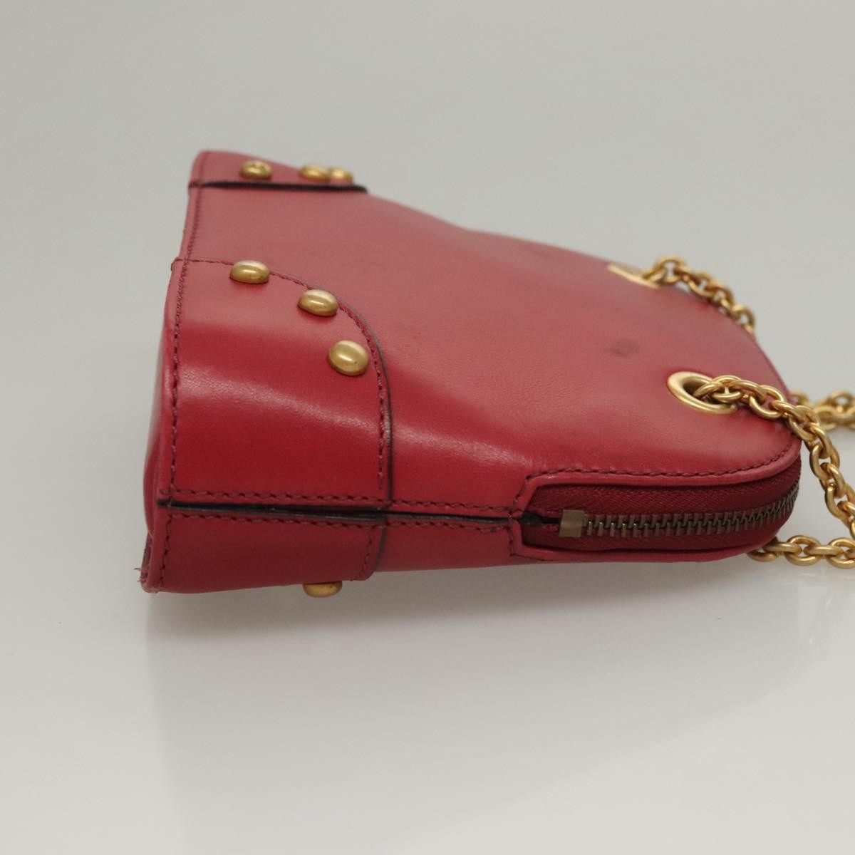 Celine Celine Zip Around Chain Shoulder Bag Leather Rood