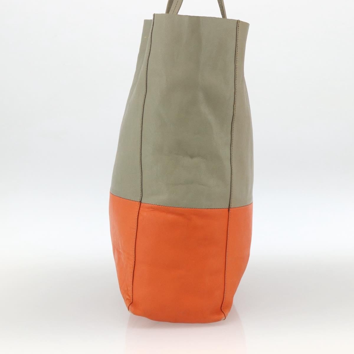 Celine Vertical Bi-Cabas Tote Leather Small Beige