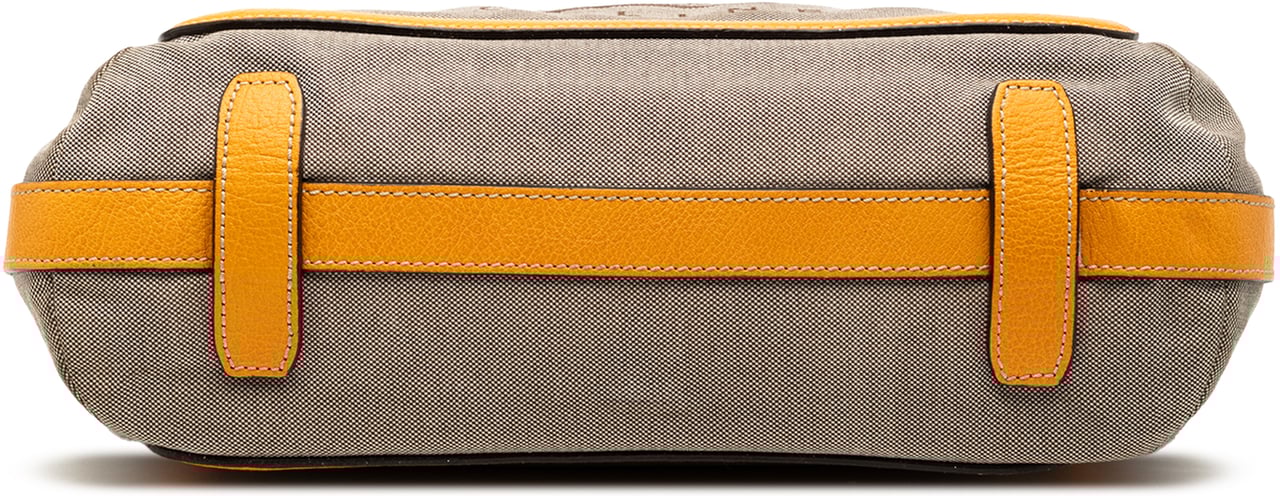 Celine Canvas Carriage Tote Bruin