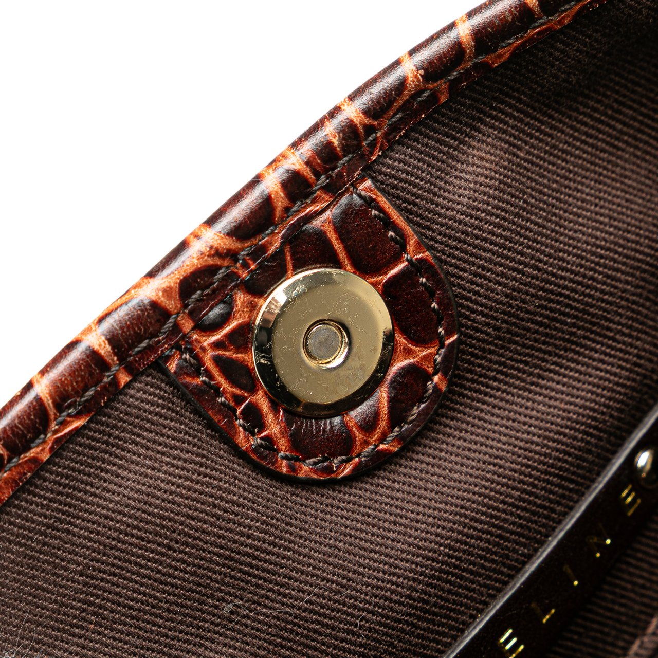 Celine Macadam Canvas Tote Bruin