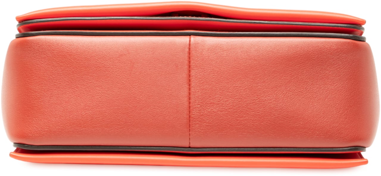 Celine Leather Frame Shoulder Bag Oranje