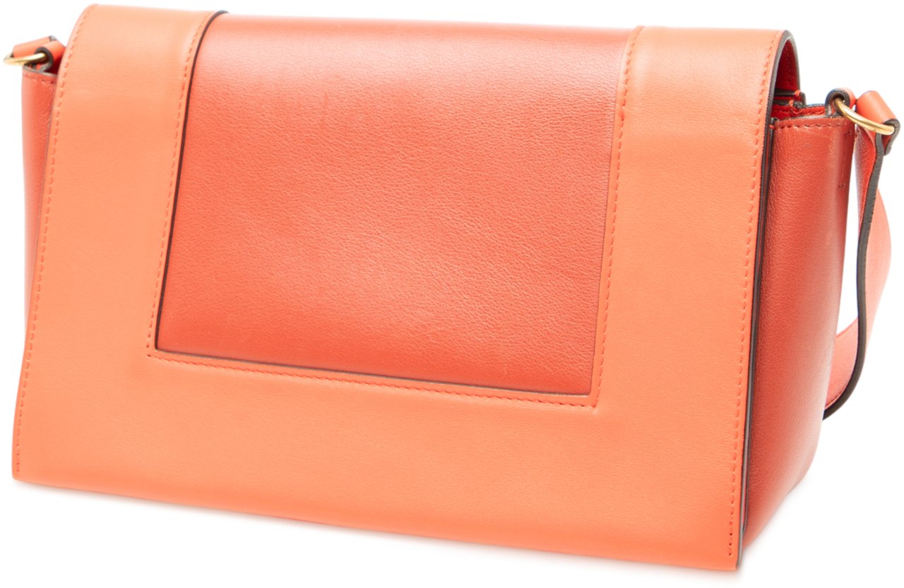 Celine Leather Frame Shoulder Bag Oranje