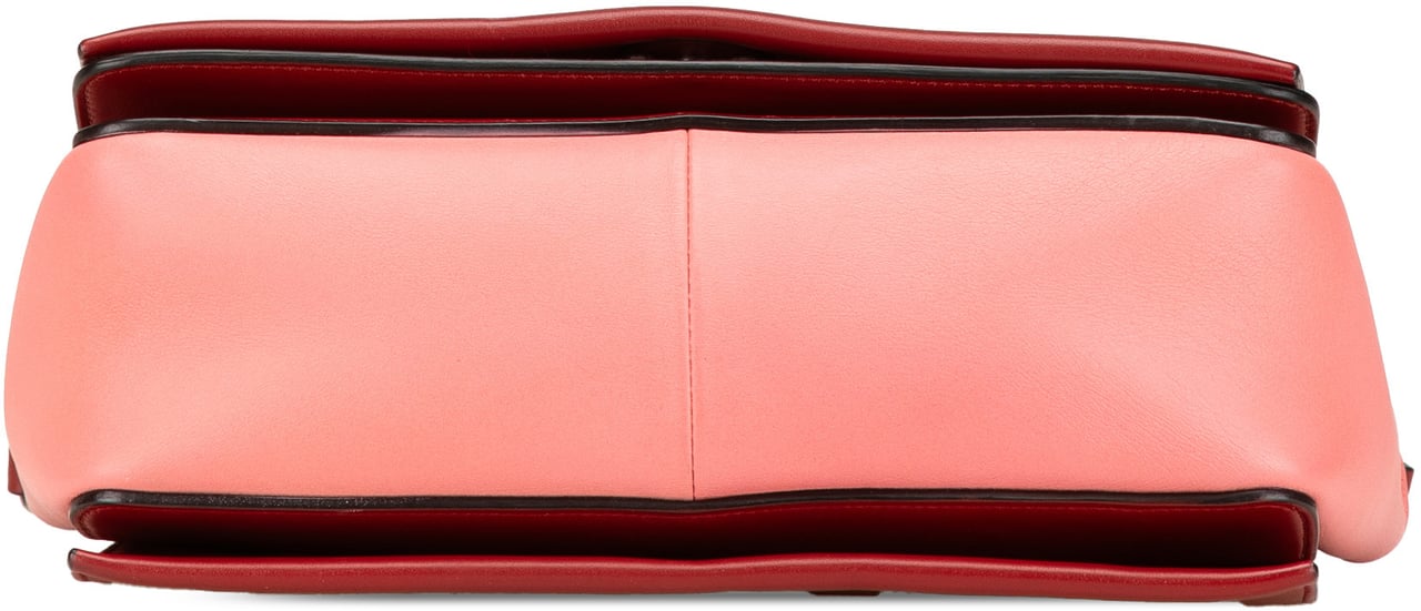 Celine Leather Frame Shoulder Bag Roze