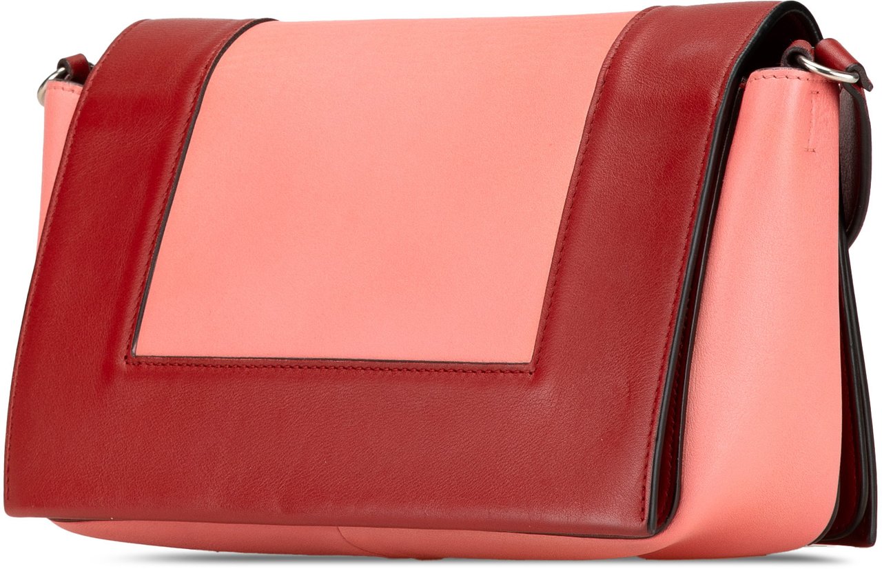 Celine Leather Frame Shoulder Bag Roze