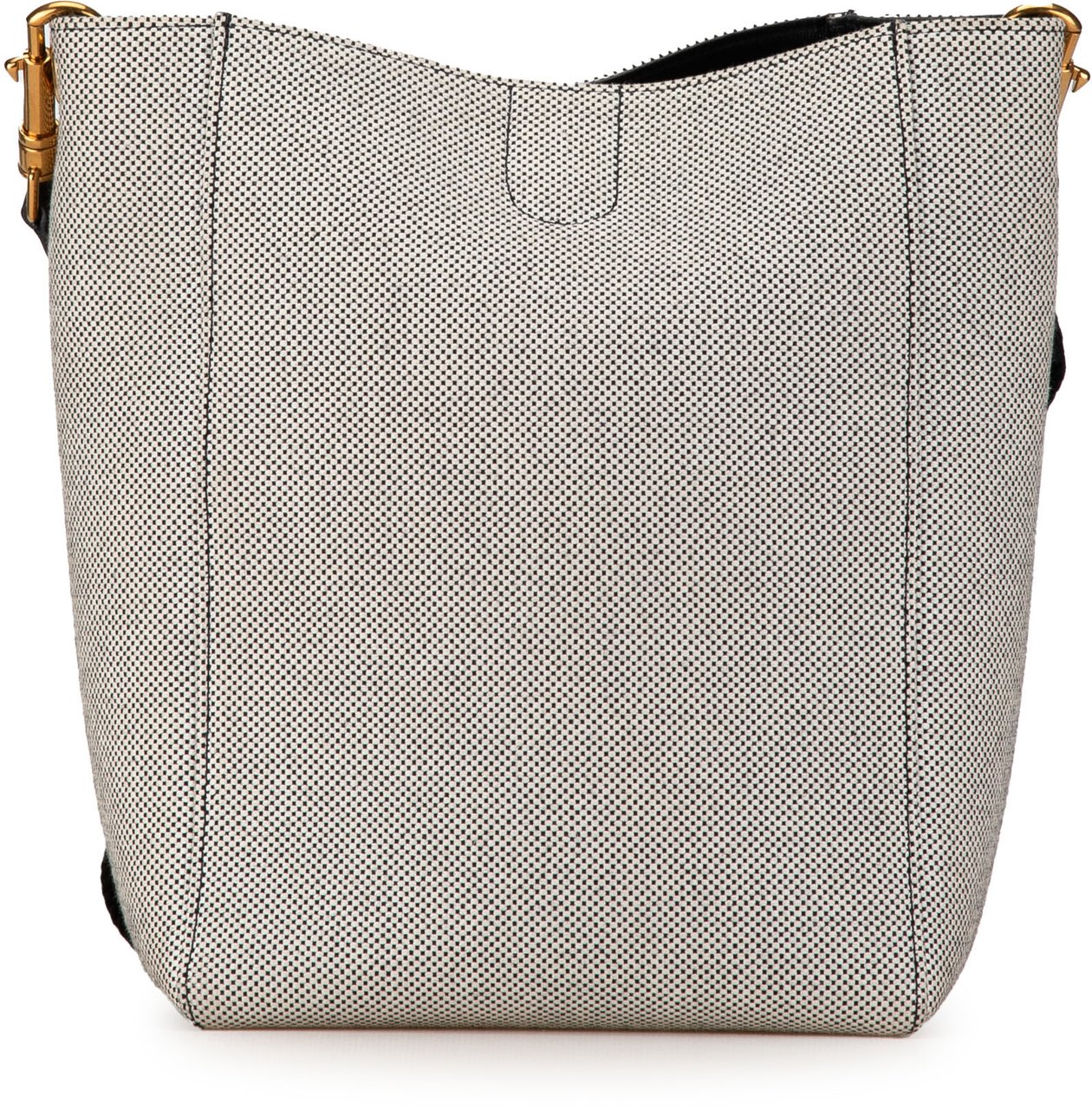 Celine Small Canvas Seau Sangle Bag Wit