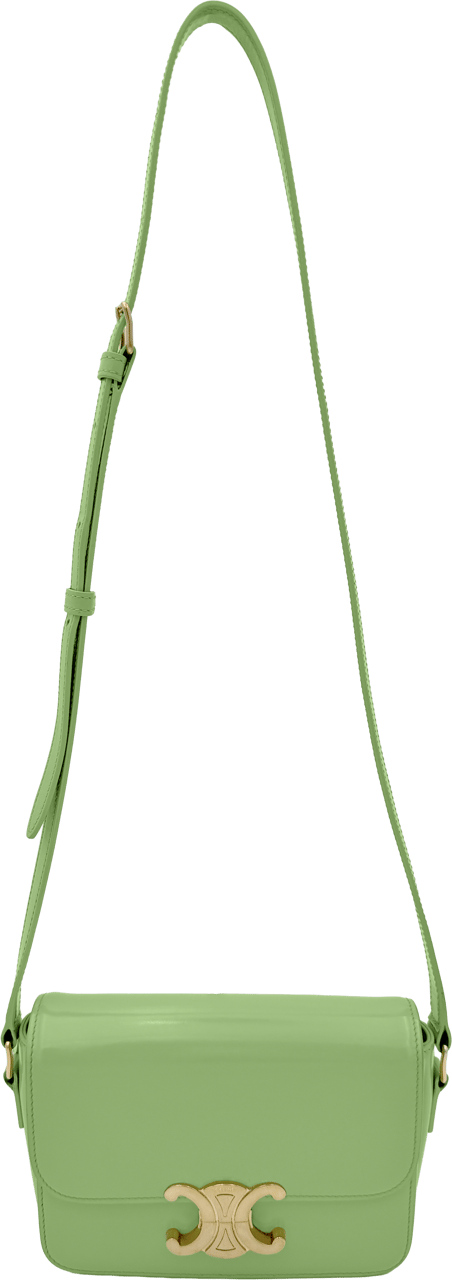 Celine Celine Small Triomphe - Lemon Green Groen