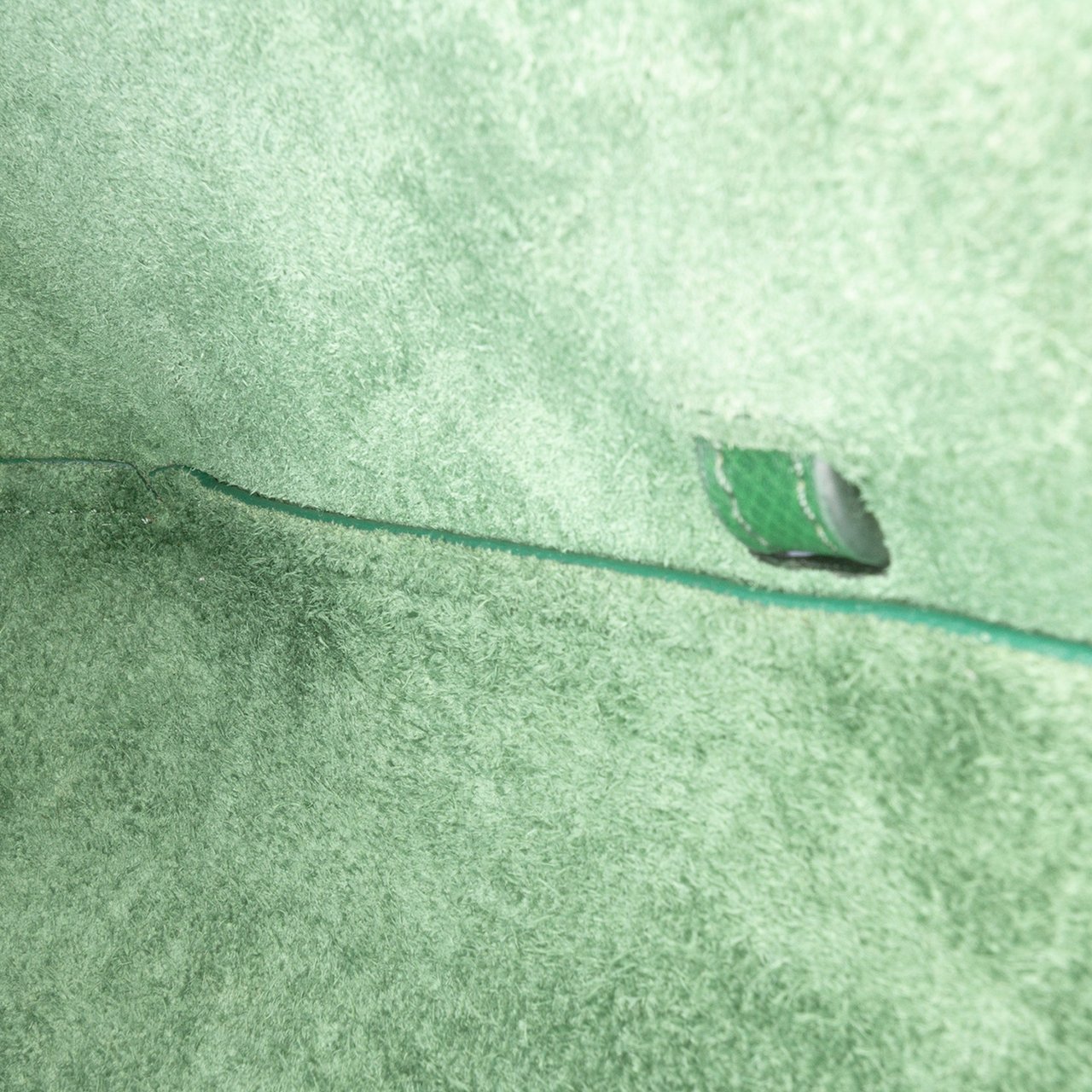 Celine Nano Grained Calfskin Belt Bag Groen