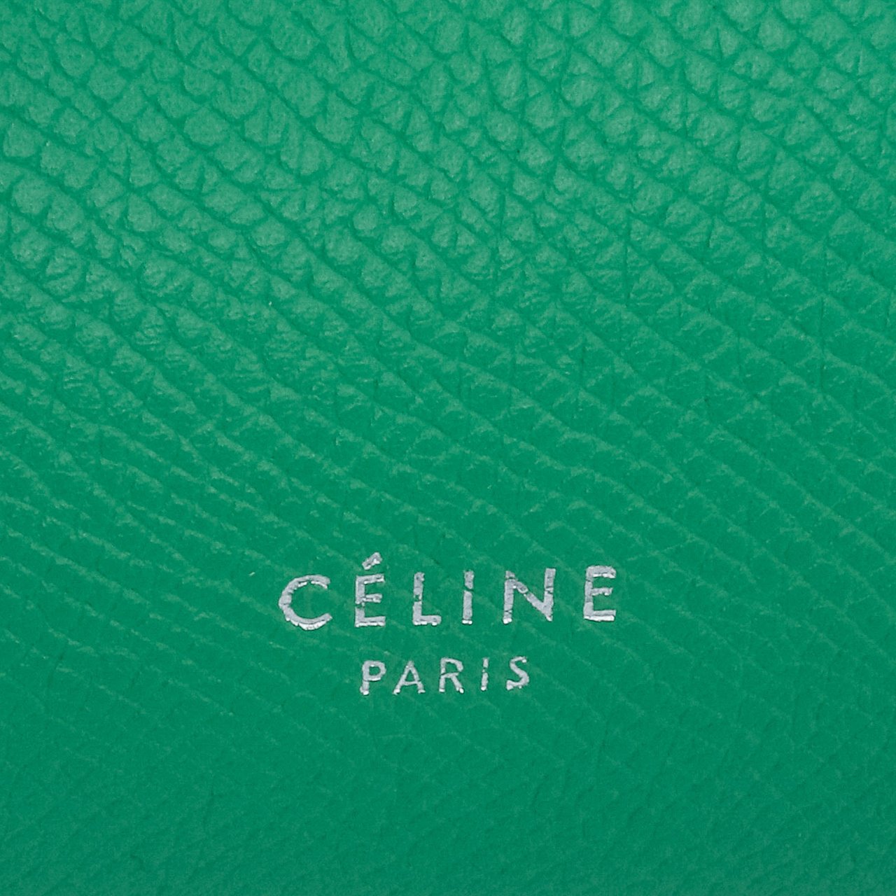 Celine Micro Grained Calfskin Belt Bag Groen