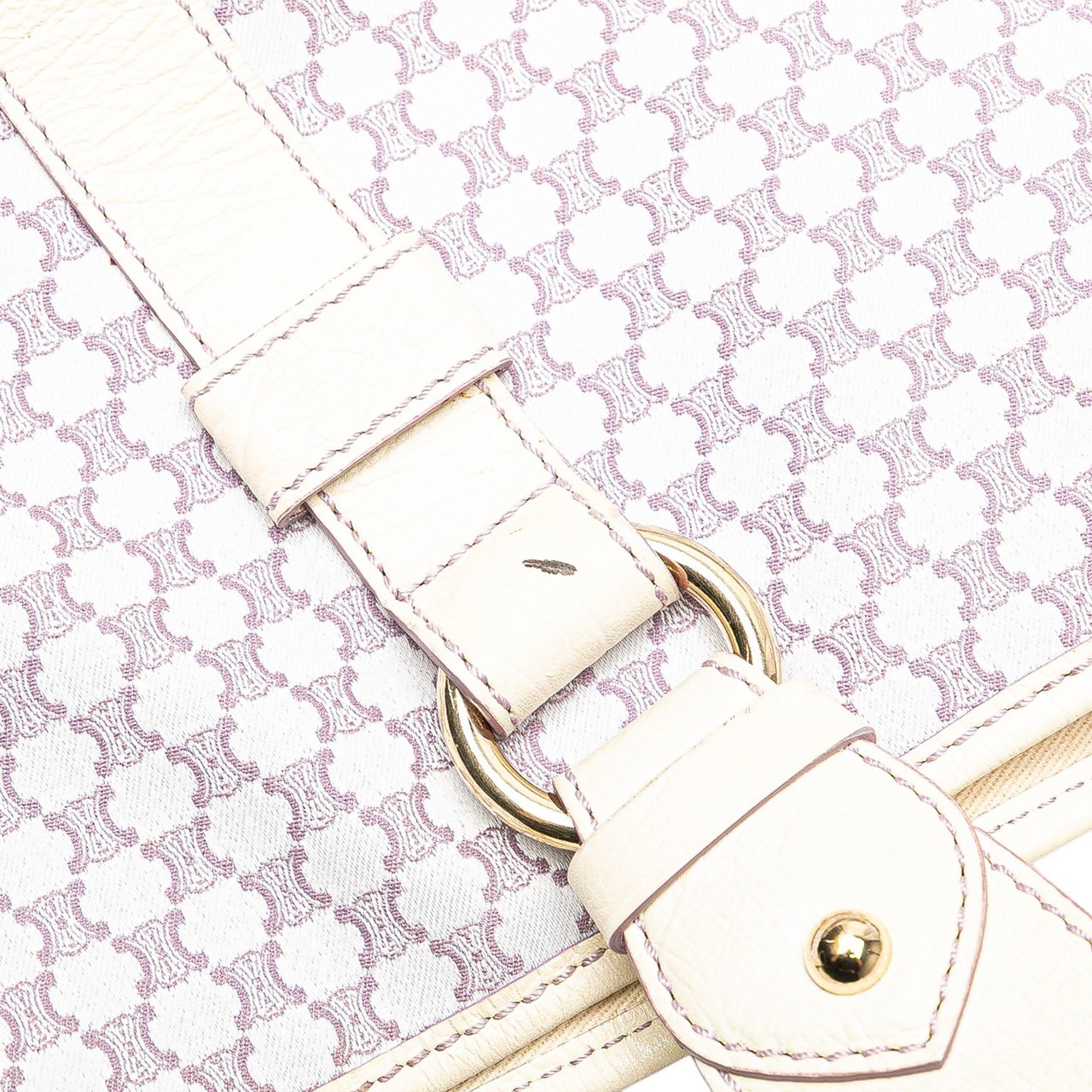 Celine Macadam Canvas Boogie Handbag Paars