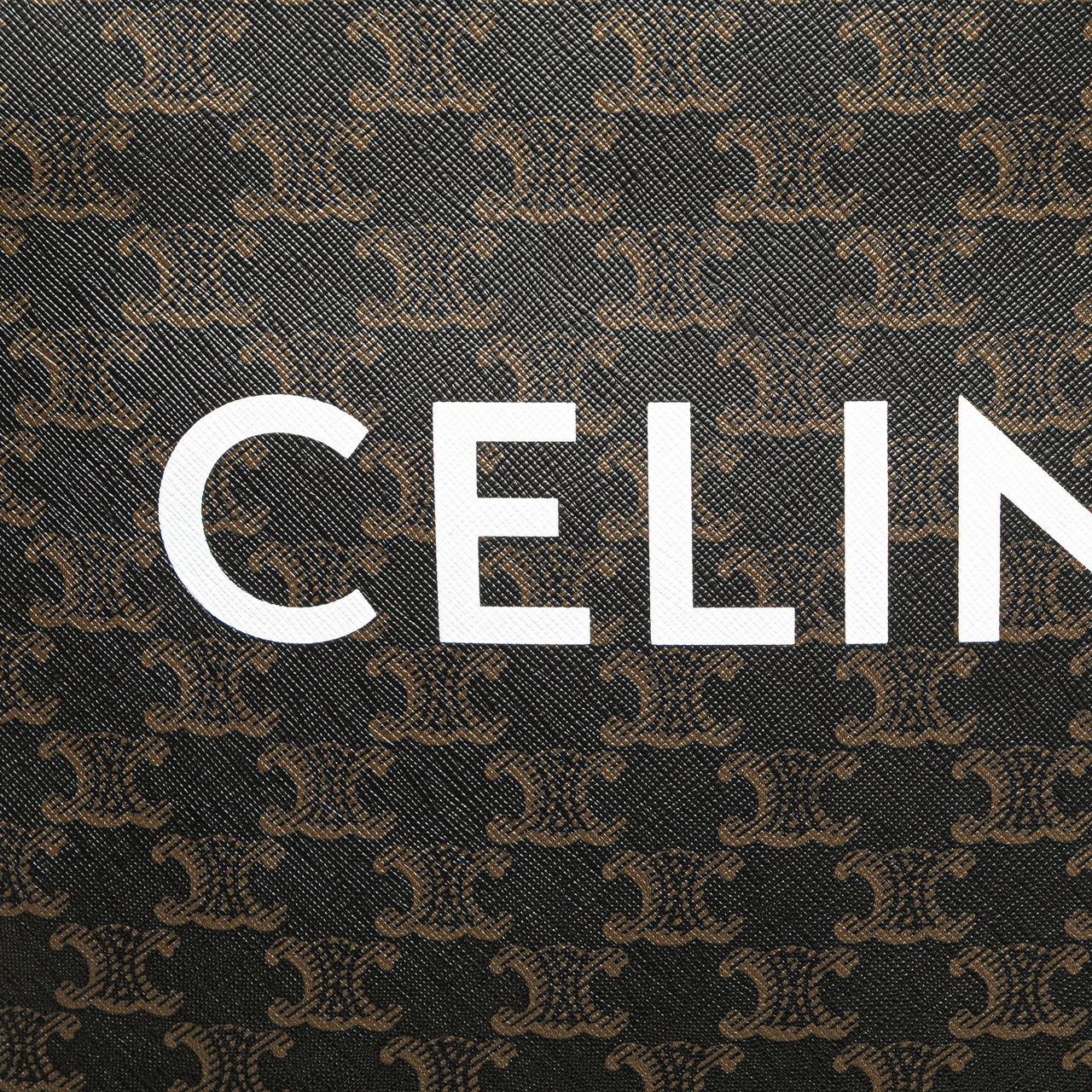 Celine Small Triomphe Coated Canvas Vertical Cabas Tote Bruin