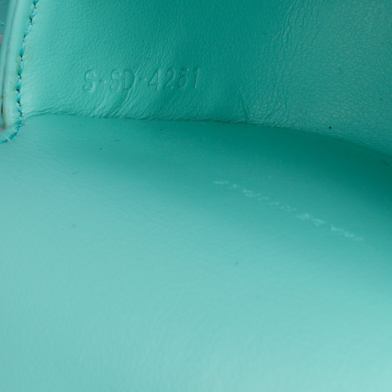 Celine Leather Triomphe AirPods Case with Strap Blauw