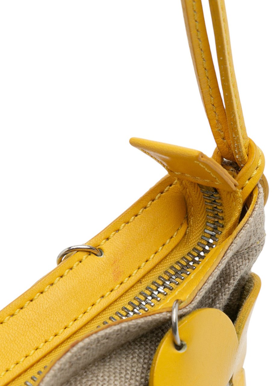 Celine Canvas and Leather Cutout Flower Crossbody Bruin