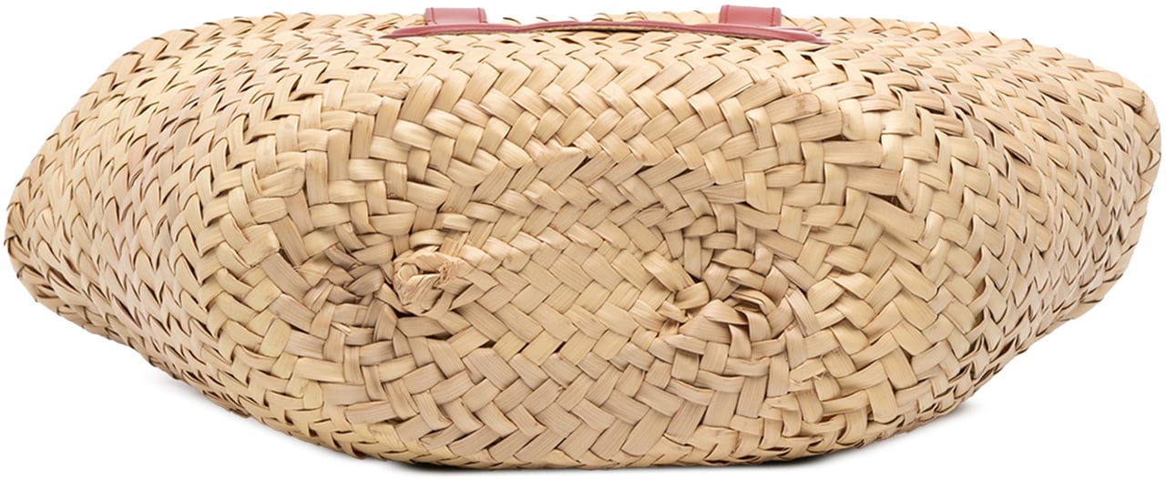 Celine Small Raffia Cuir Triomphe Classic Panier Tote Bruin