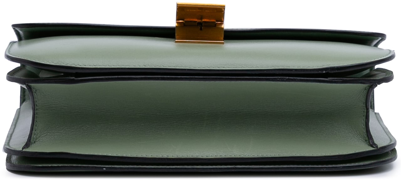 Celine Medium Calfskin Classic Box Groen
