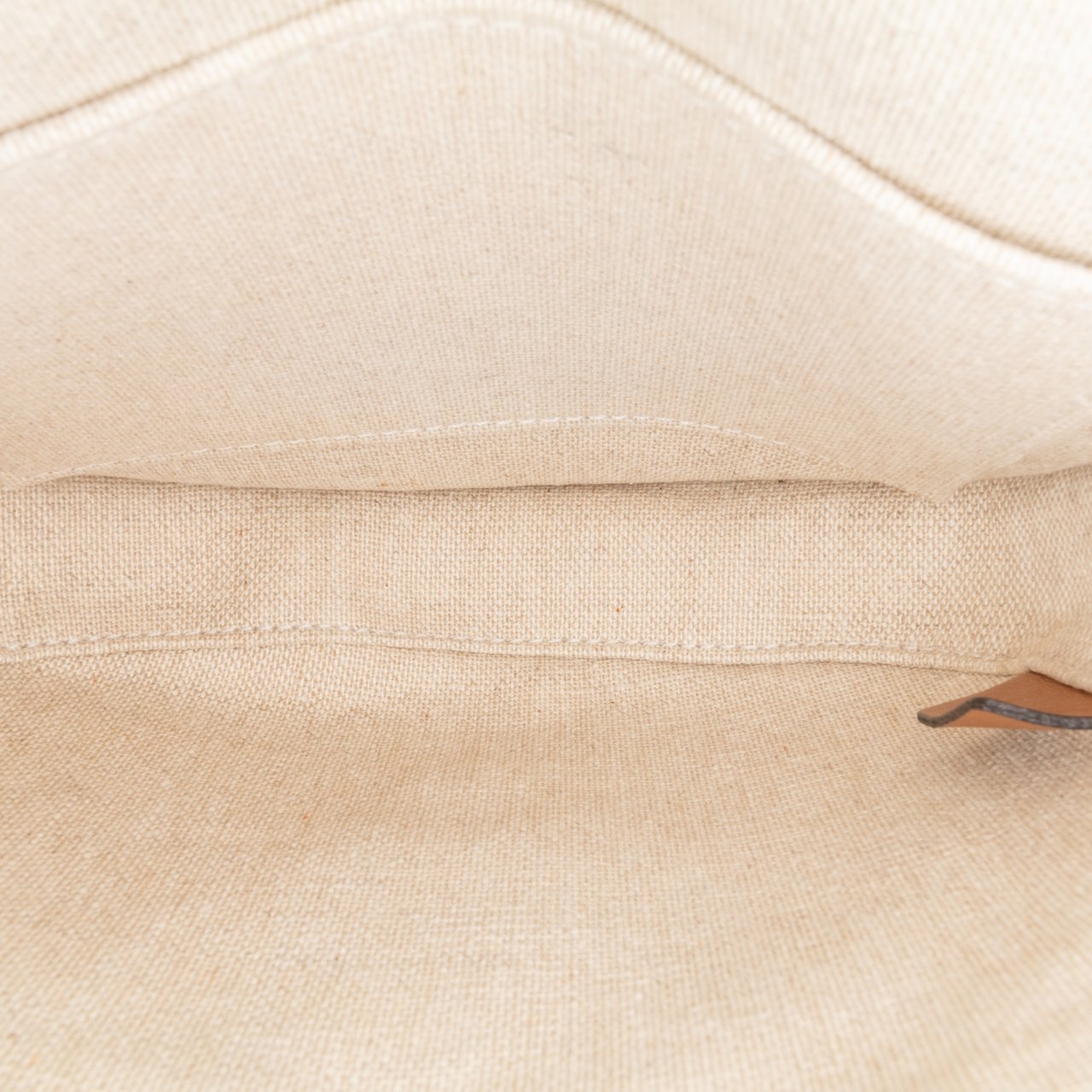 Celine Mini Triomphe Canvas and Calfskin Besace Crossbody Blauw