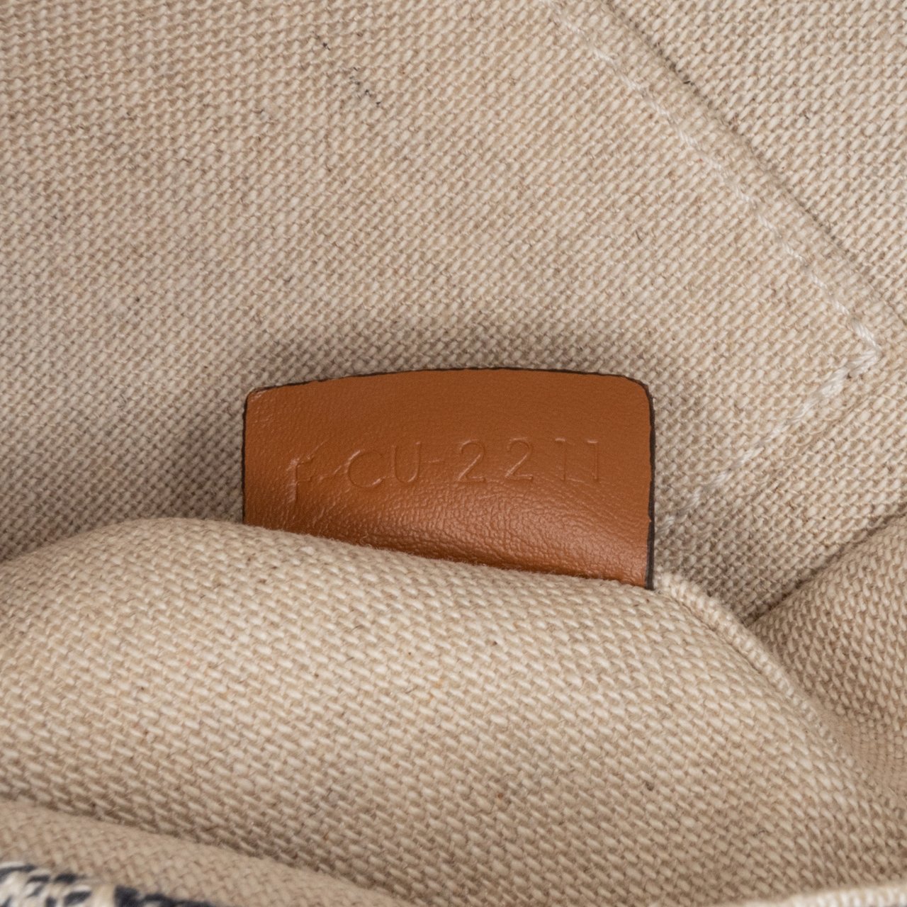 Celine Mini Triomphe Canvas and Calfskin Besace Crossbody Blauw