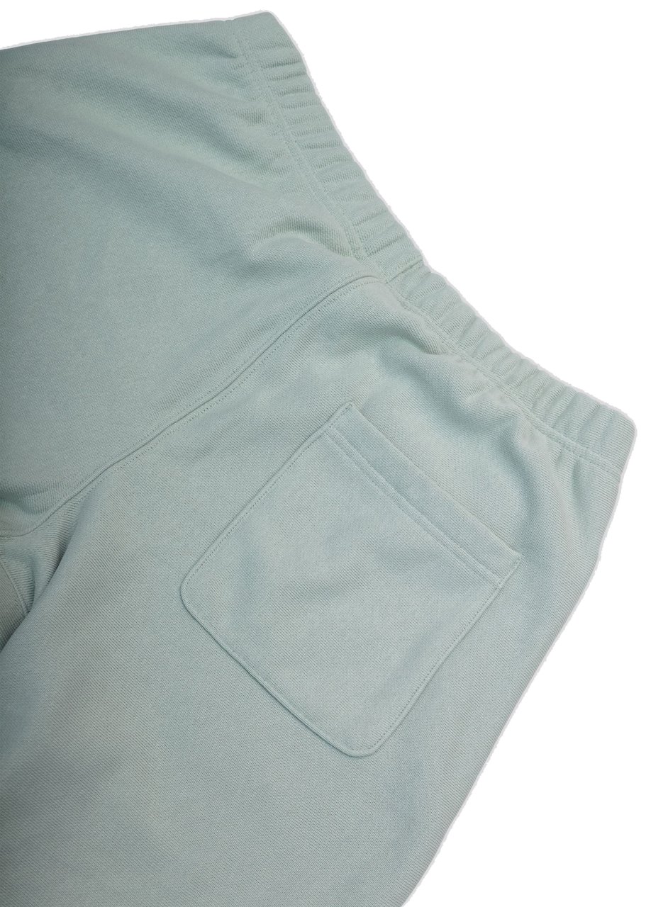 Champion Shorts Reverse Wave Azzurro Lichtblauw