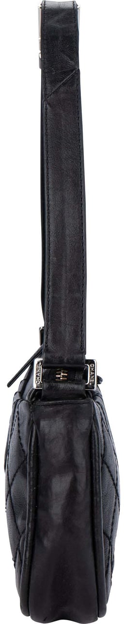 Chanel Chanel Quilted Leather Coco Shoulder Bag Divers