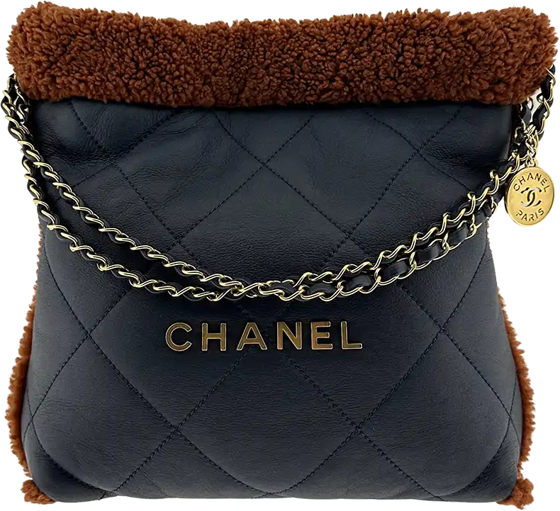 Chanel Chanel 22 small hobo bag in lambskin leather with lambskin / mint condition Blauw