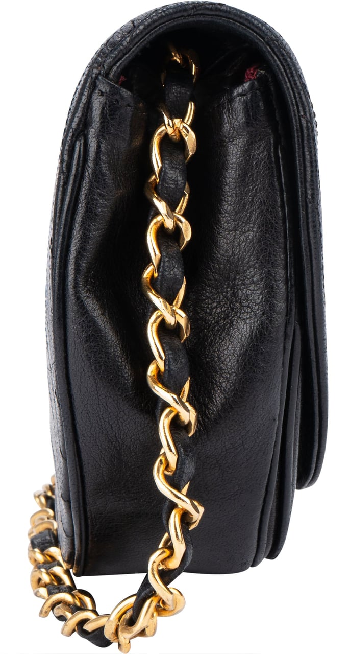 Chanel Chanel Stitched Halfmoon Single Flap Crossbody Bag Divers