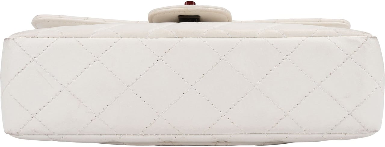 Chanel Quilted Lambskin Tortoise Medium Single Flap Shoulder Bag Divers