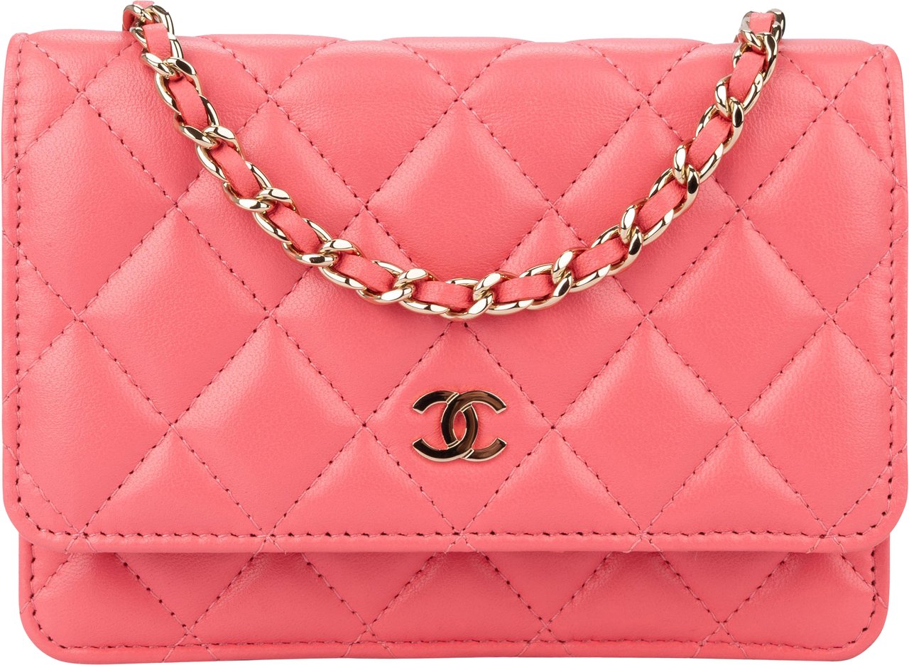Chanel Chanel Quilted Lambskin Wallet On Chain Crossbody Bag Divers