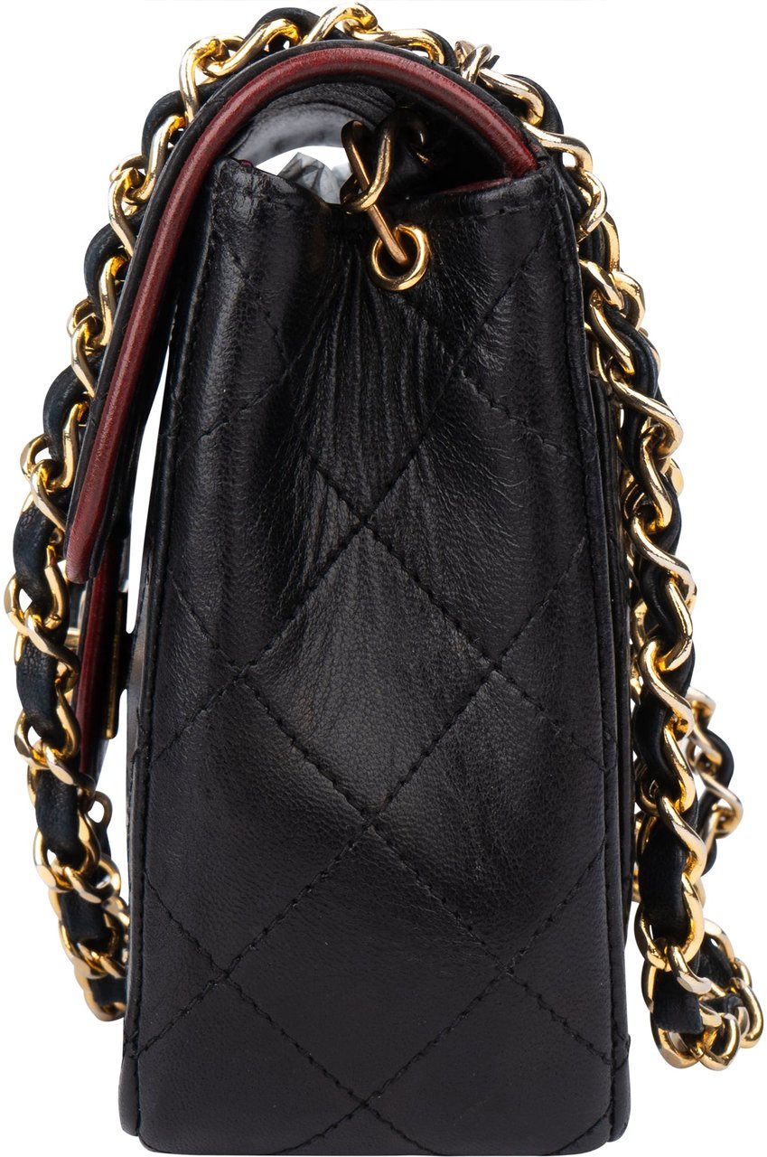 Chanel Chanel Quilted Bicolor Lambskin 24K Gold Single Flap Crossbody Bag Divers